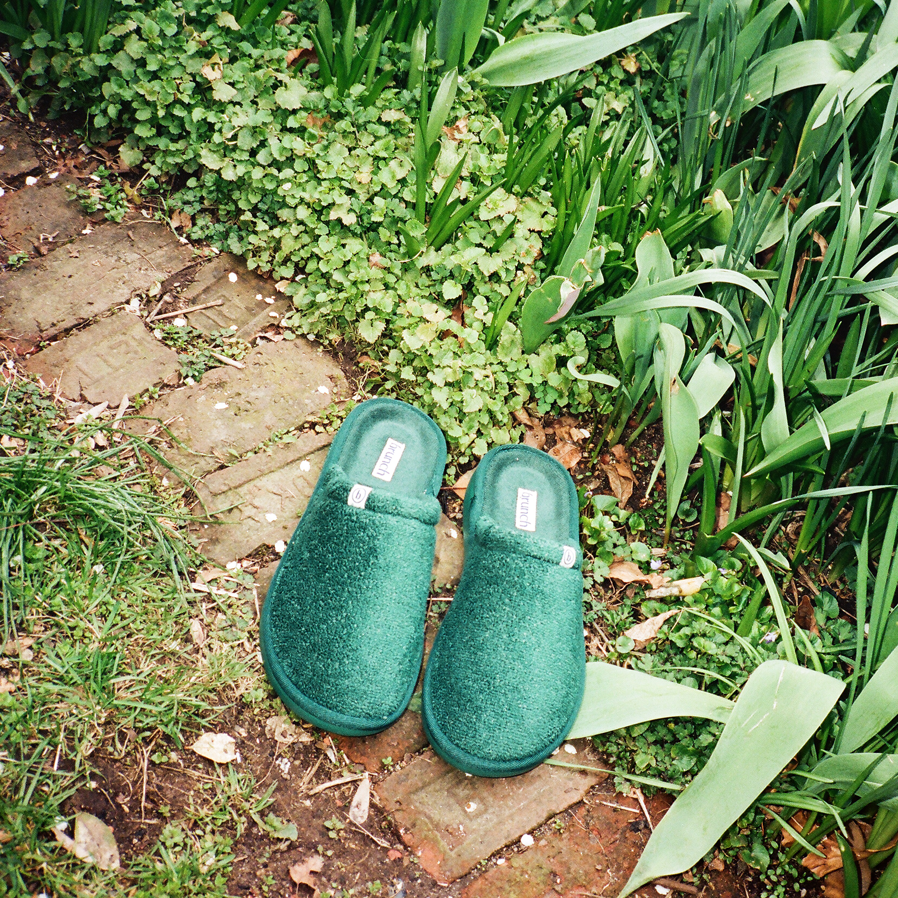 Pair of green Brunch Earth Day limited edition slippers resting on a brick garden path surrounded by leafy plants