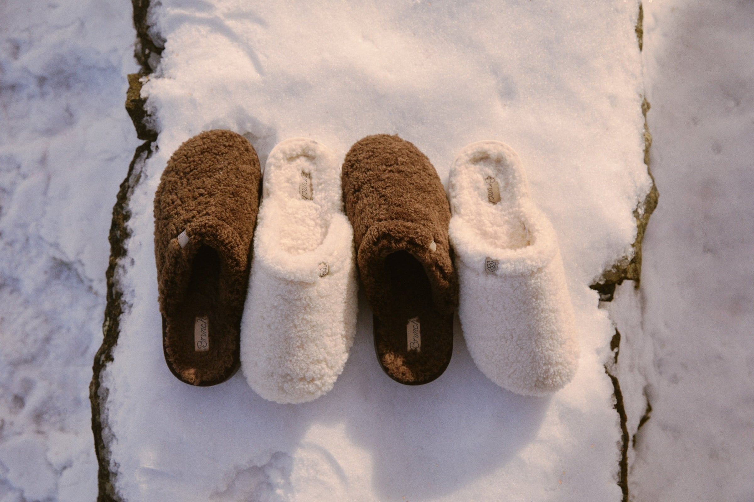 All Shearling, All Fuzzy - Brunch
