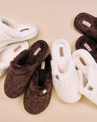 New Arrivals - Brunch