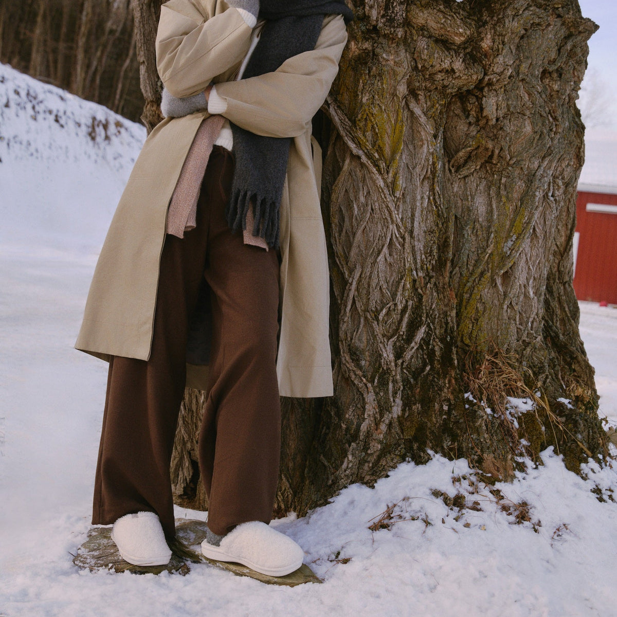 Person in winter clothing hugging a large tree in a snowy landscape
