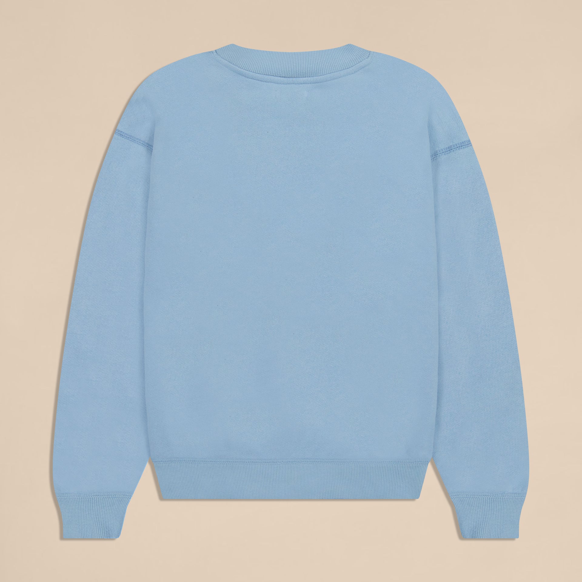 back view of powder-blue crewneck sweatshirt on neutral background