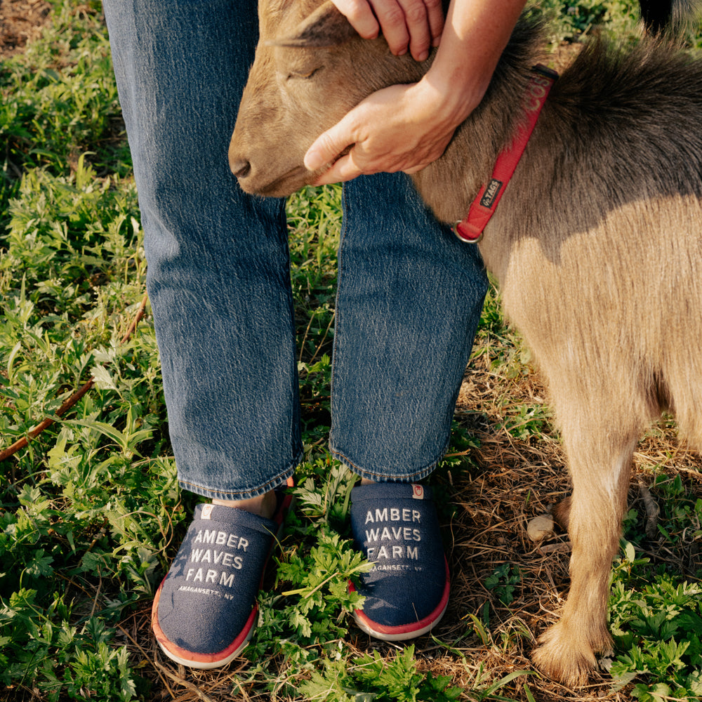 Person in jeans wearing navy clogs that say AMBER WAVES FARM, petting a goat by their legs