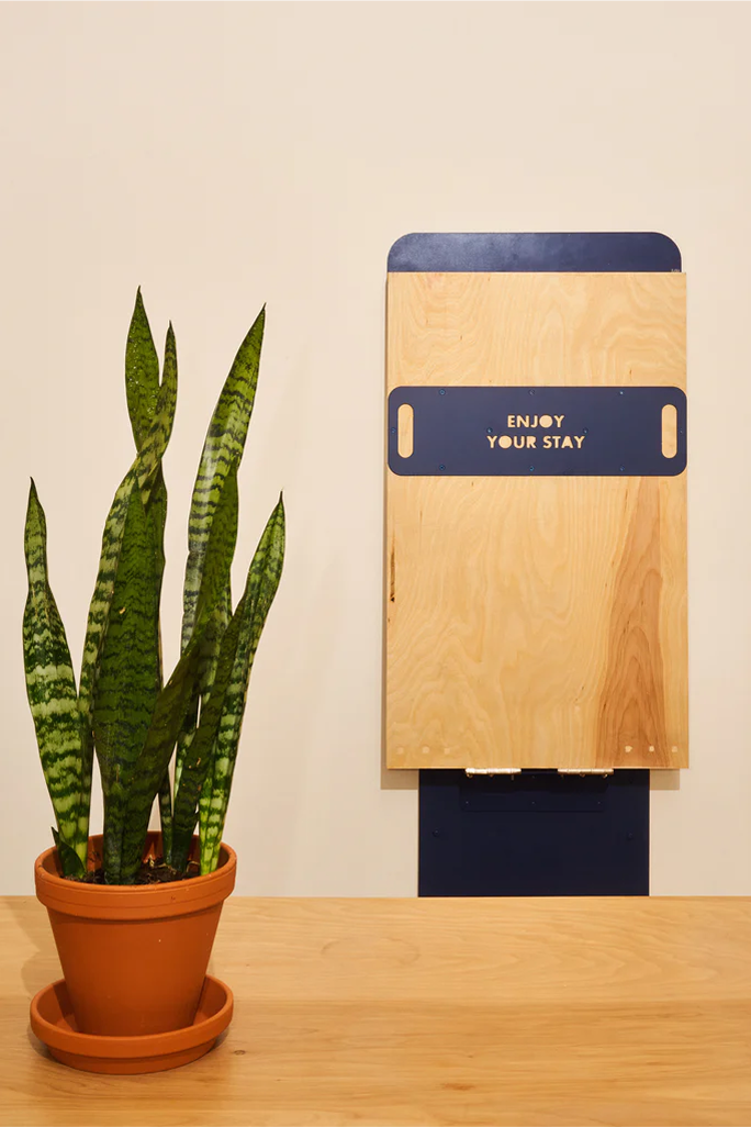 Snake plant in terracotta pot on table beside a wall-mounted birch board with navy plaque reading ENJOY YOUR STAY.