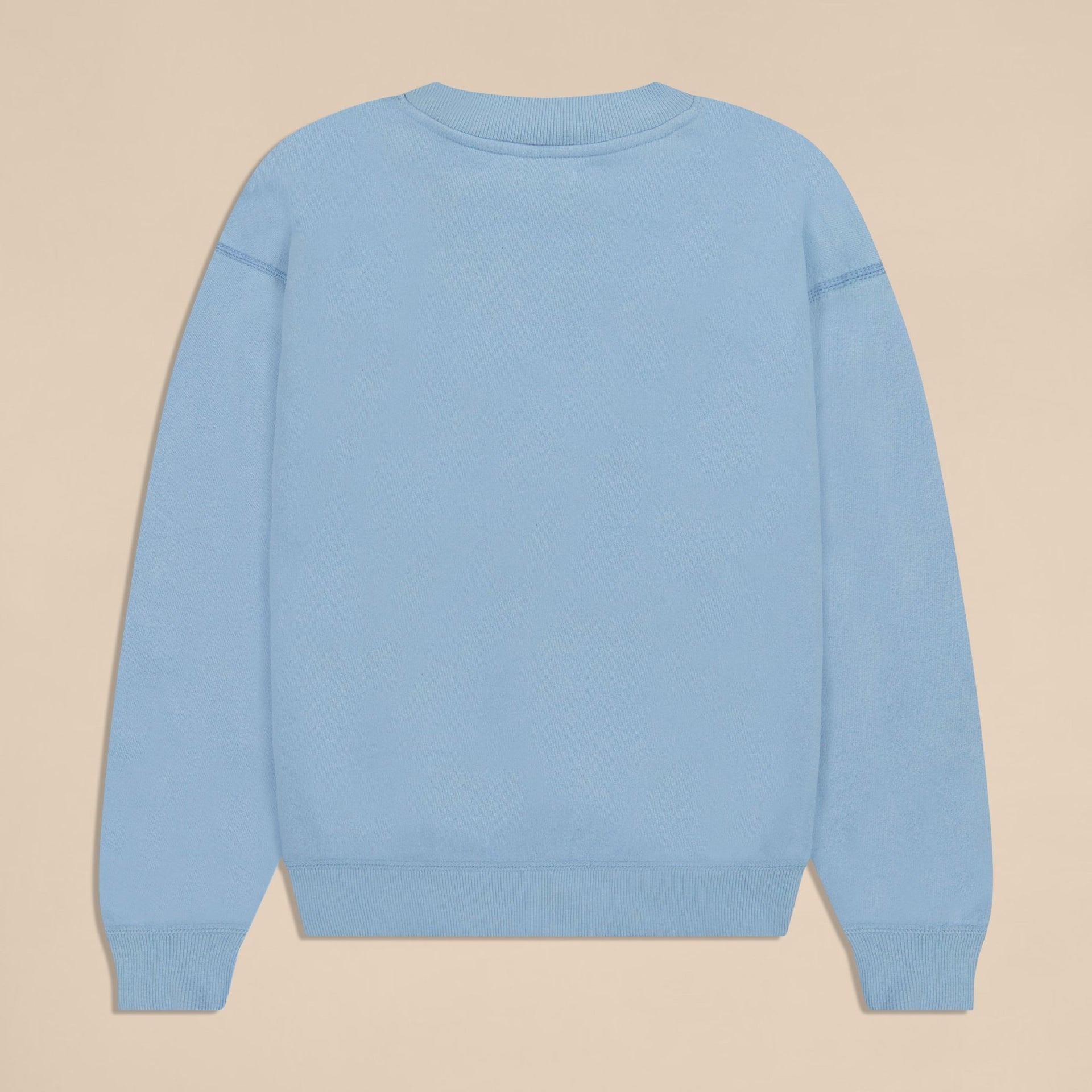 Varsity Crewneck - Powder Blue - French Terry - Brunch - VA3CO1PBUXS - Apparel